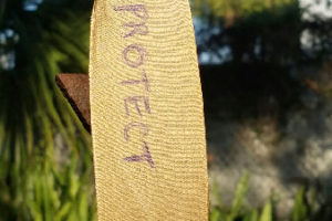 Kinetic Intentions Elayna Toby Singer 34