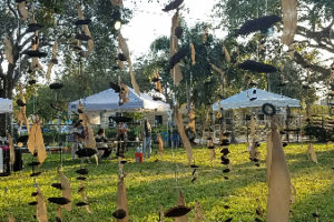 Kinetic Intentions Elayna Toby Singer 36