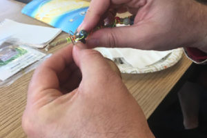 Elayna Toby Singer_Broward Cultural Division HealMobile 1