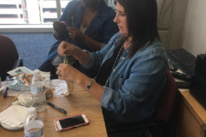 Elayna Toby Singer_Broward Cultural Division HealMobile 2