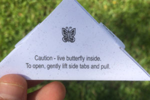 Elayna Toby Singer_Survivors Stroll HealMobile 3